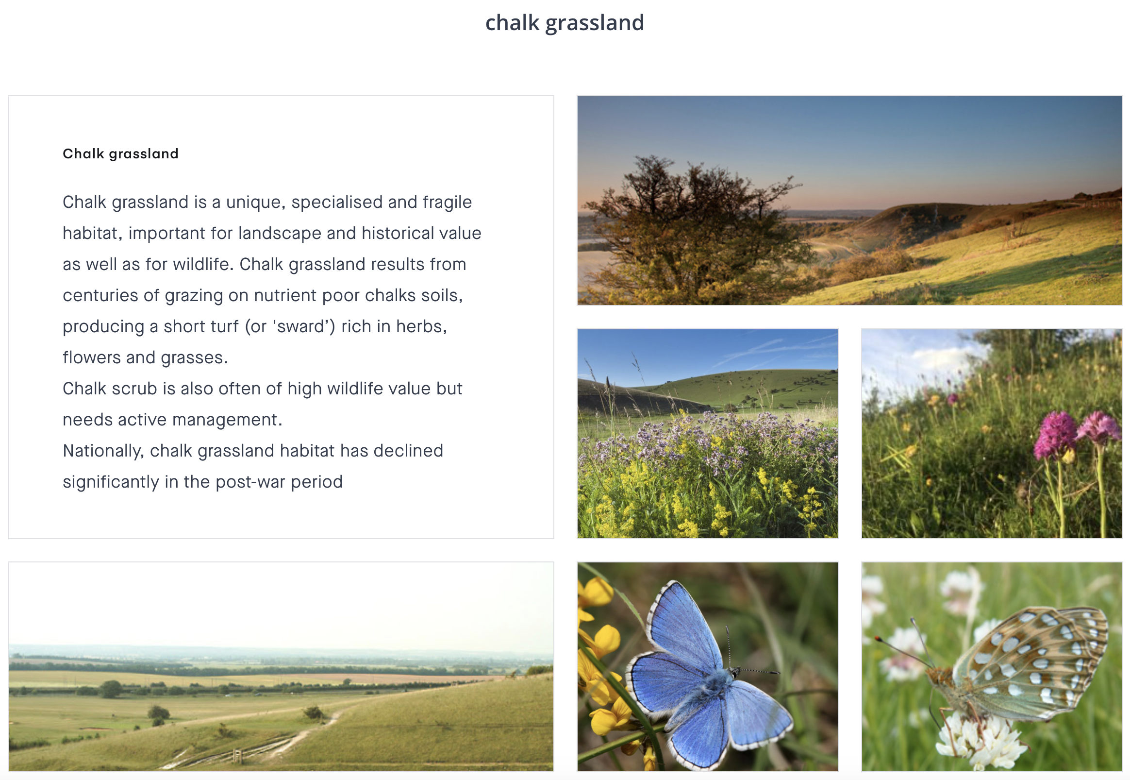 Some details on chalk grassland. Further information contained below.